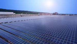 中美硅晶与世界杯官方端网站登录入口光电携手战略合作