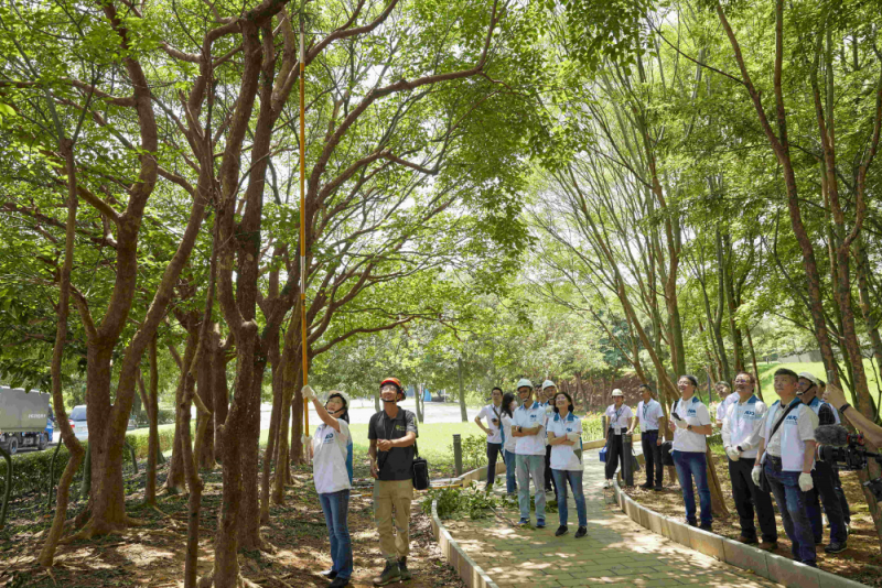 藝師教導大家認識樹木、檢查樹的健康狀況，學習修枝及碎枝覆土